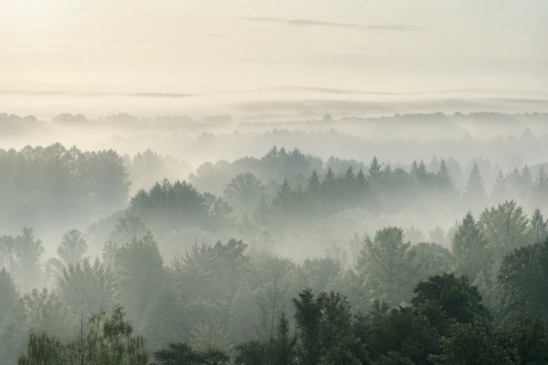Grünes Band Landschaft